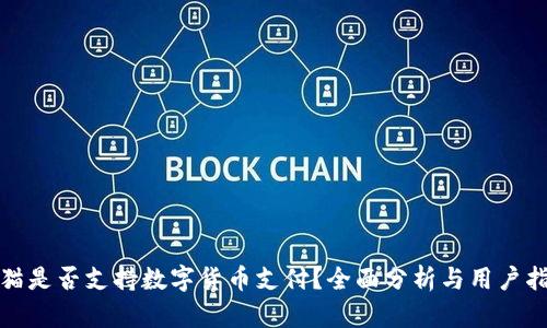 天猫是否支持数字货币支付？全面分析与用户指南