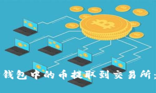 如何将TP钱包中的币提取到交易所：详细指南