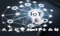 TP钱包资产丢失后能否找回？全面解析与解决方案