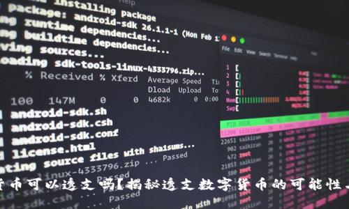 数字货币可以透支吗？揭秘透支数字货币的可能性与风险