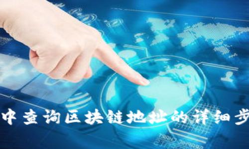 如何在TP钱包中查询区块链地址的详细步骤与注意事项