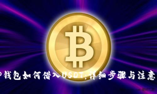 在TP钱包如何借入USDT：详细步骤与注意事项