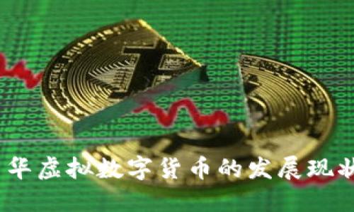 深入探索：中华虚拟数字货币的发展现状与未来趋势
