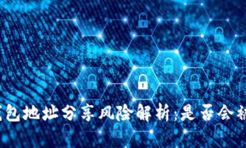 TP钱包地址分享风险解析：是否会被盗？