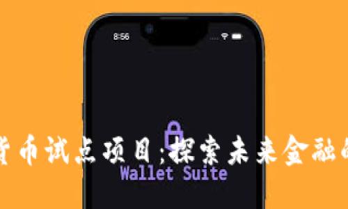 深圳数字货币试点项目：探索未来金融的先锋之路