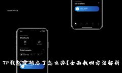 TP钱包密码忘了怎么办？全面找回方法解析
