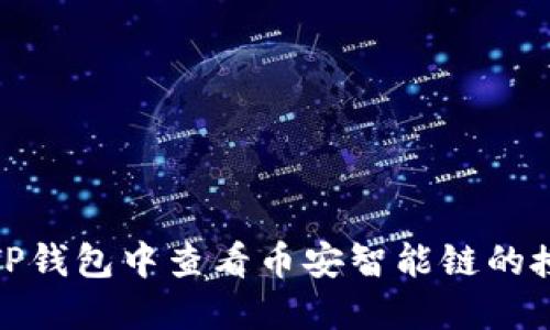 如何在TP钱包中查看币安智能链的授权情况