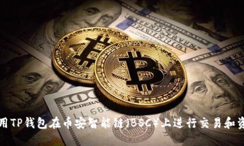 如何使用TP钱包在币安智能链（BSC）上进行交易和资产管理