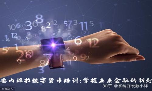 委内瑞拉数字货币培训：掌握未来金融的钥匙