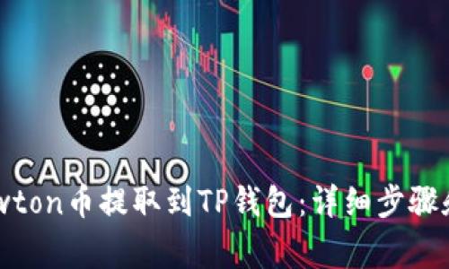 如何将Newton币提取到TP钱包：详细步骤和注意事项