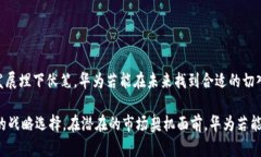 关于“华为为什么创建不了TP钱包”的问题，可以