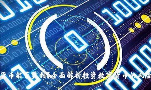 买数字货币能否盈利？全面解析投资数字货币的风险与回报
