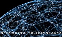 在哪买USDT能安全转至TP钱包？全面解析购买渠道