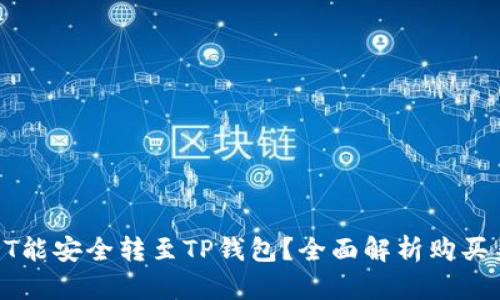 在哪买USDT能安全转至TP钱包？全面解析购买渠道与步骤