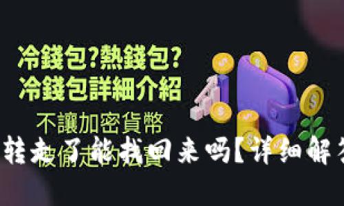 TP钱包U币被转走了能找回来吗？详细解答与应对措施