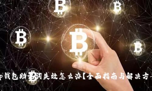 tp钱包助记词失效怎么办？全面指南与解决方案