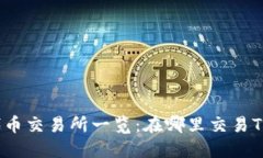 TP钱包的代币交易所一览：在哪里交易TP钱包代币