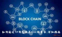 如何通过TP钱包购买BSC预售币：详细指南