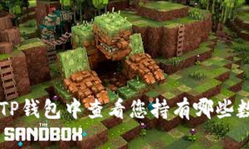 如何在TP钱包中查看您持有哪些数字货币
