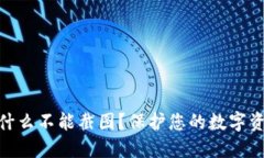 TP钱包私钥为什么不能截图？保护您的数字资产安