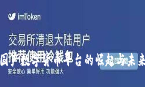 探寻国产数字货币平台的崛起与未来发展