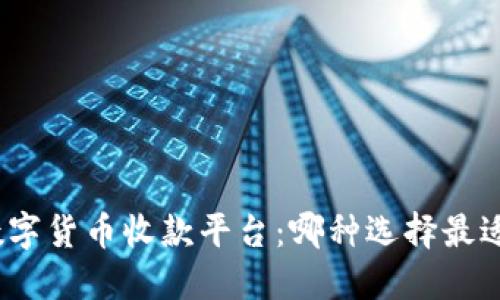 探索数字货币收款平台：哪种选择最适合你？