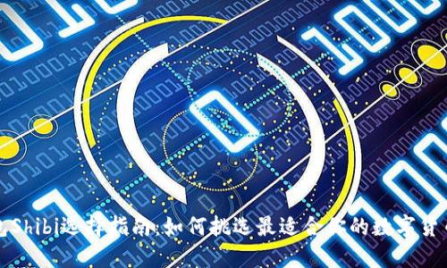 TP钱包Shibi选择指南：如何挑选最适合你的数字货币钱包