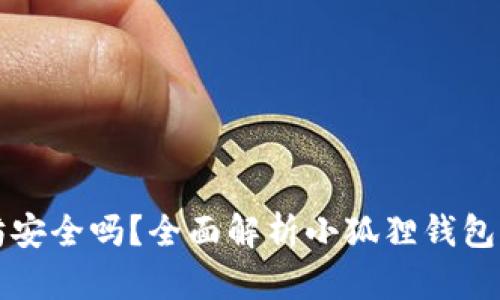 小狐狸钱包存以太坊安全吗？全面解析小狐狸钱包的安全性与使用指南