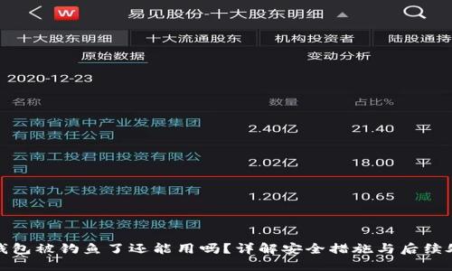 TP钱包被钓鱼了还能用吗？详解安全措施与后续处理