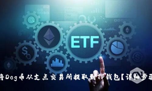 如何将Dog币从支点交易所提取到TP钱包？详细步骤解析