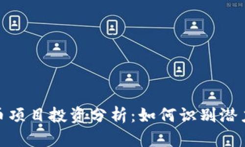 数字货币项目投资分析：如何识别潜力与风险