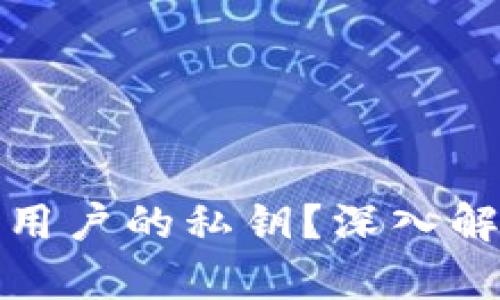 TP钱包是否掌握用户的私钥？深入解析与安全性探讨