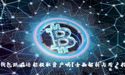 TP钱包现在还能提取资产吗？全面解析与用户指南