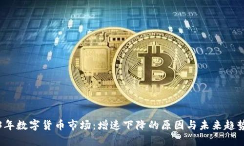 2023年数字货币市场：增速下降的原因与未来趋势解析