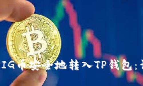 如何将PIG币安全地转入TP钱包：详尽指南