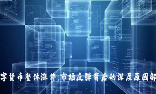 数字货币整体涨停：市场反弹背后的深层原因解析
