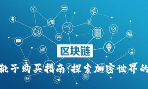 数字货币靴子购买指南：探索加密世界的投资机会
