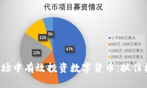 如何在蓝海市场中有效投资数字货币：抓住机遇，规避风险