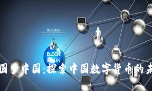 数字货币圆梦中国：探索中国数字货币的未来与应用