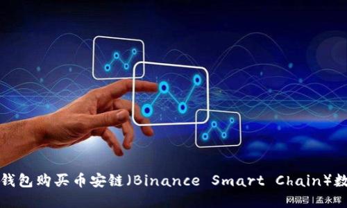 如何通过TP钱包购买币安链（Binance Smart Chain）数字资产教程