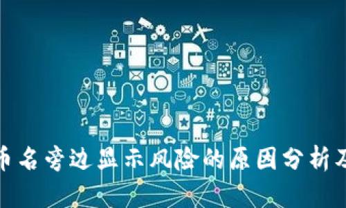 TP钱包代币名旁边显示风险的原因分析及应对策略