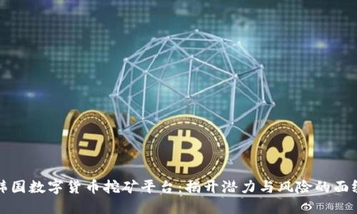 韩国数字货币挖矿平台：揭开潜力与风险的面纱