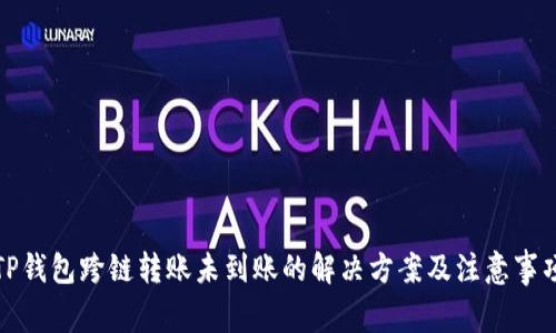 TP钱包跨链转账未到账的解决方案及注意事项
