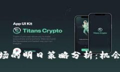 数字货币市场的明日策略分析：机会与风险并存
