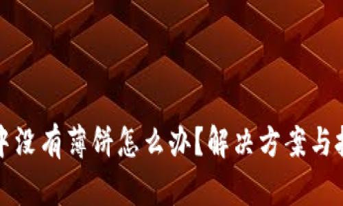 TP钱包中没有薄饼怎么办？解决方案与技巧详解