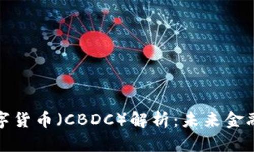 全球央行数字货币（CBDC）解析：未来金融的变革之路