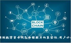 如何辨别数字货币钱包余额图片的真实性：用户