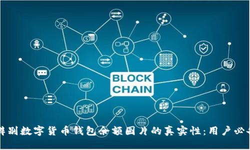 如何辨别数字货币钱包余额图片的真实性：用户必备指南