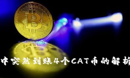 TP钱包中突然到账4个CAT币的解析与应对