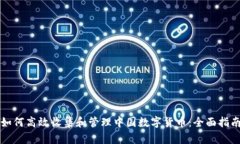 如何高效收集和管理中国数字货币：全面指南